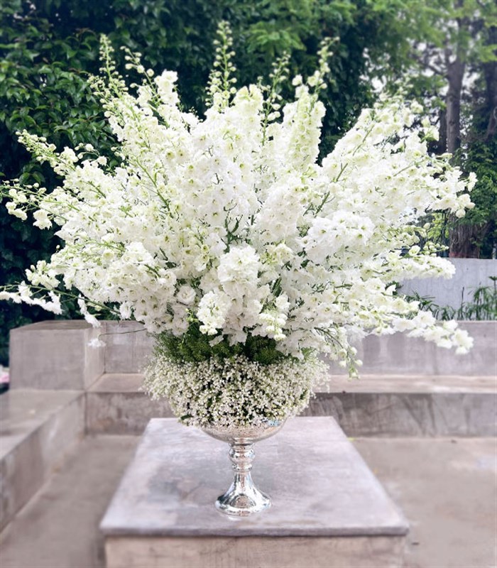 Panoramik 1000 Müge Çiçeği 100 Delfinyum Empire Deluxe Aranjman