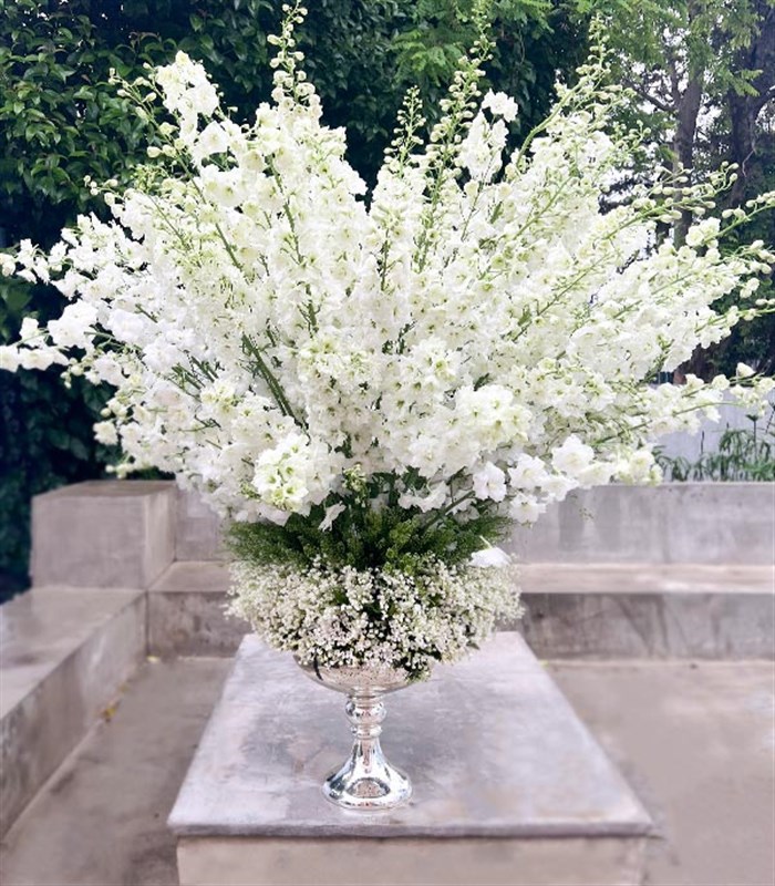 Panoramik 1000 Müge Çiçeği 100 Delfinyum Empire Deluxe Aranjman