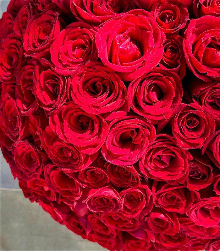 Kutuda 201 Kırmızı Gül Aranjmanı Royal Deluxe