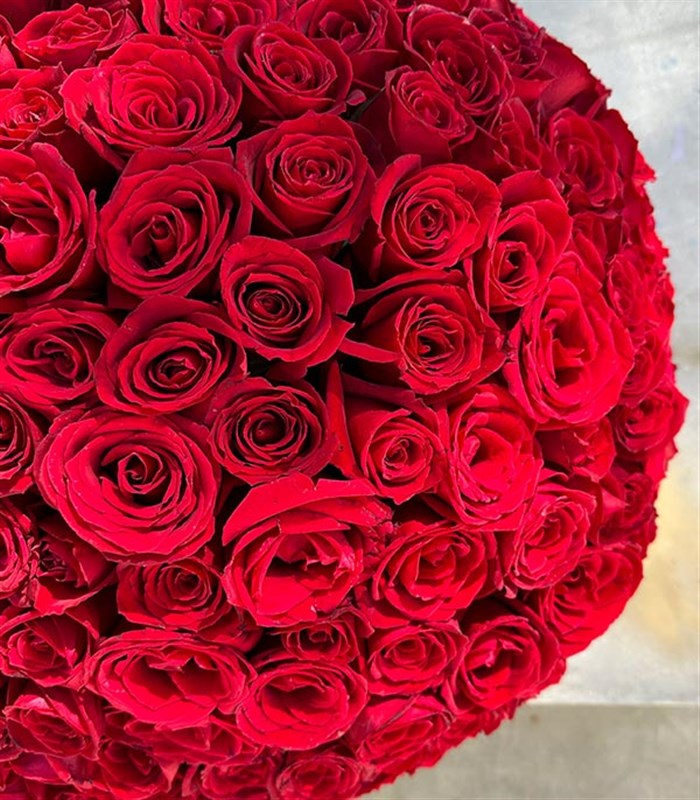 Kutuda 201 Kırmızı Gül Aranjmanı Royal Deluxe