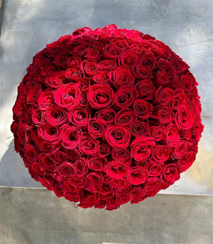 Kutuda 201 Kırmızı Gül Aranjmanı Royal Deluxe