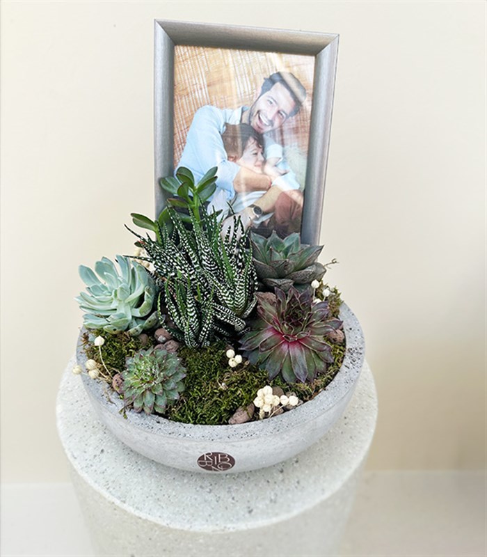 Kişiye Özel Fotoğraf Çerçeveli Sukulent Bahçesi