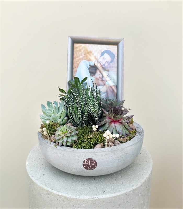 Kişiye Özel Fotoğraf Çerçeveli Sukulent Bahçesi