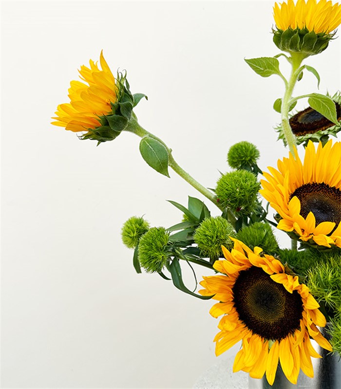 Sunshine Bliss Ayçiçeği Vazo Aranjmanı