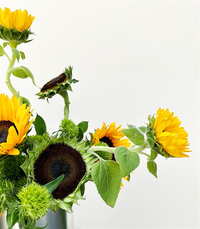 Sunshine Bliss Ayçiçeği Vazo Aranjmanı