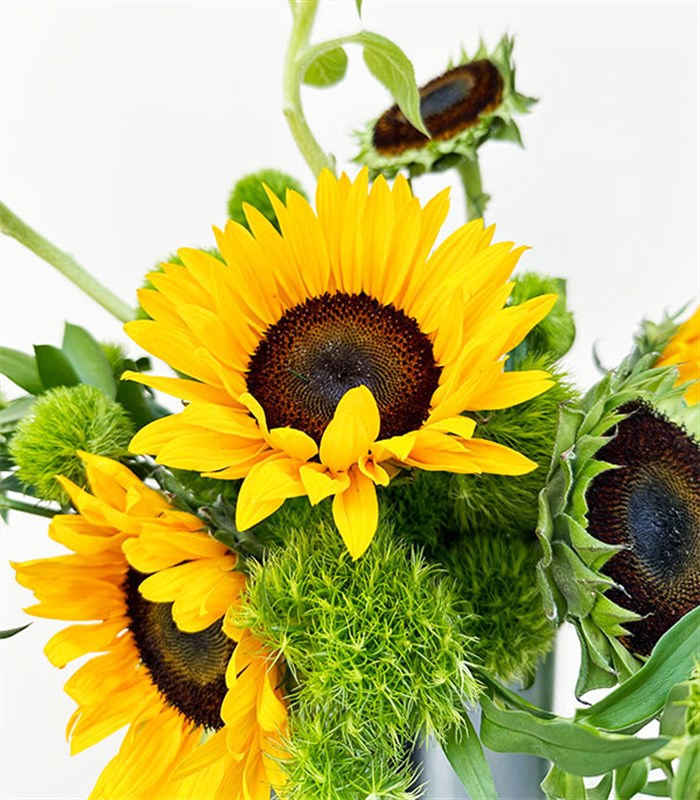 Sunshine Bliss Ayçiçeği Vazo Aranjmanı