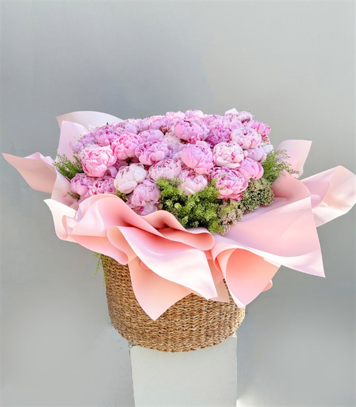 Royal Deluxe Sepette 50 Pembe Şakayık