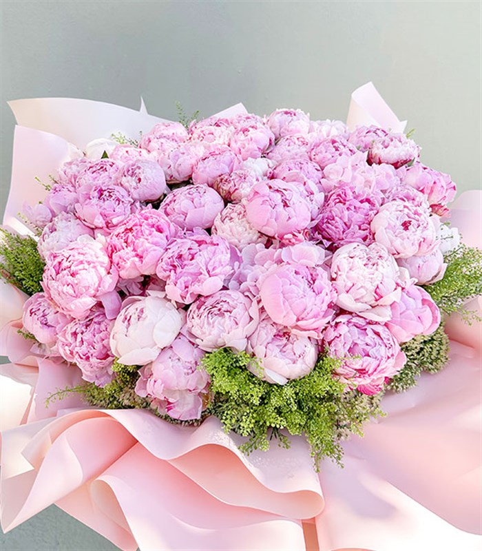 Royal Deluxe Sepette 50 Pembe Şakayık