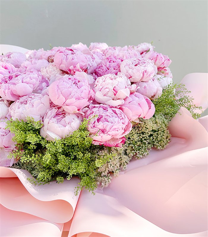 Royal Deluxe Sepette 50 Pembe Şakayık