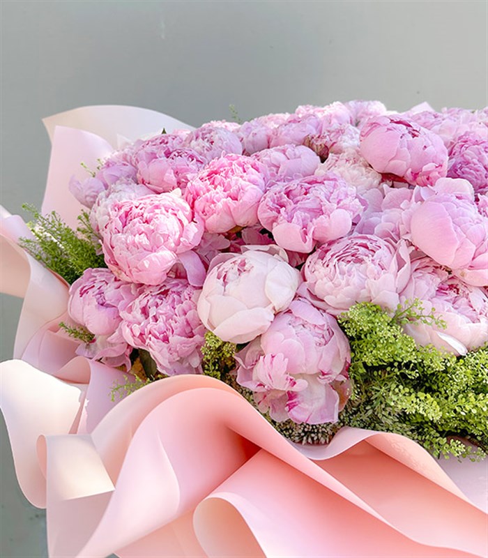 Royal Deluxe Sepette 50 Pembe Şakayık