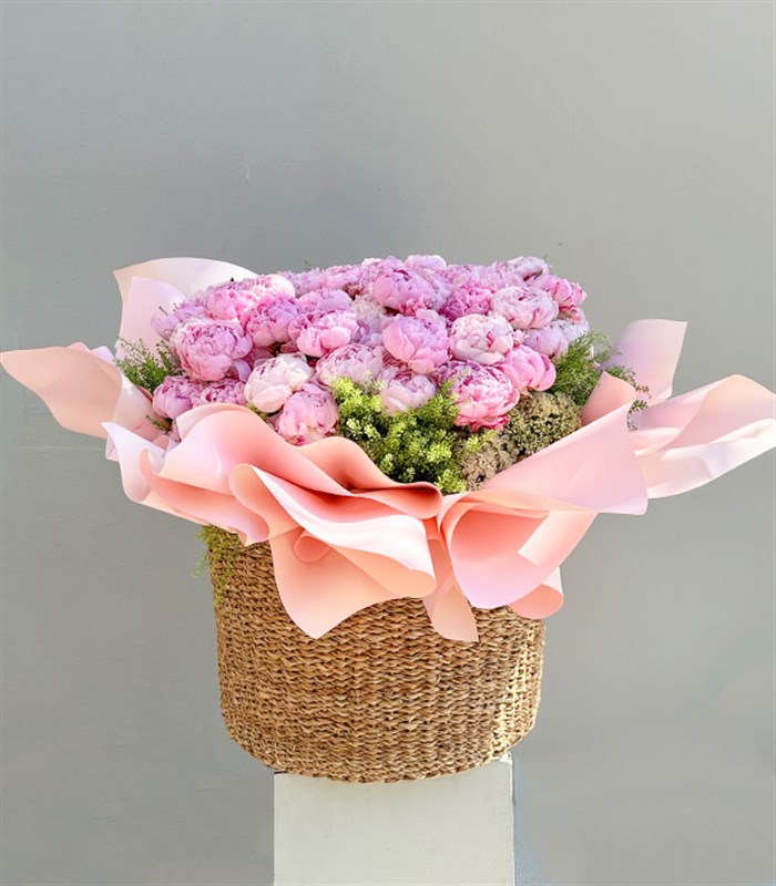 Royal Deluxe Sepette 50 Pembe Şakayık