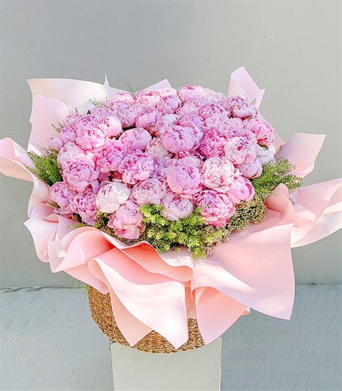 Royal Deluxe Sepette 50 Pembe Şakayık