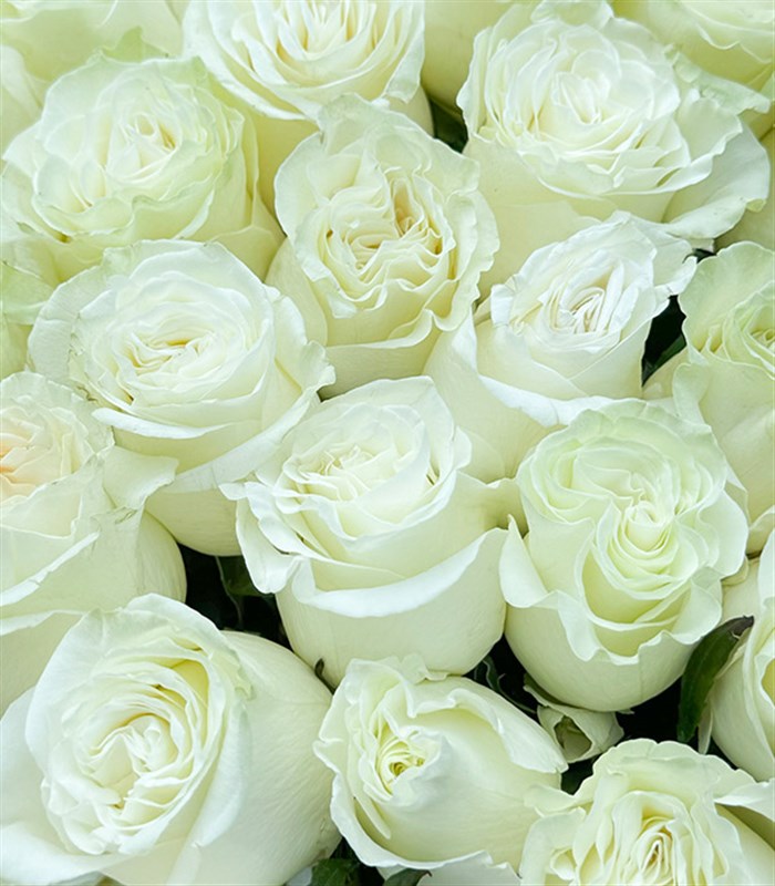 Bianco 401 Gül 4 Katlı Empire Deluxe Kutu Aranjman