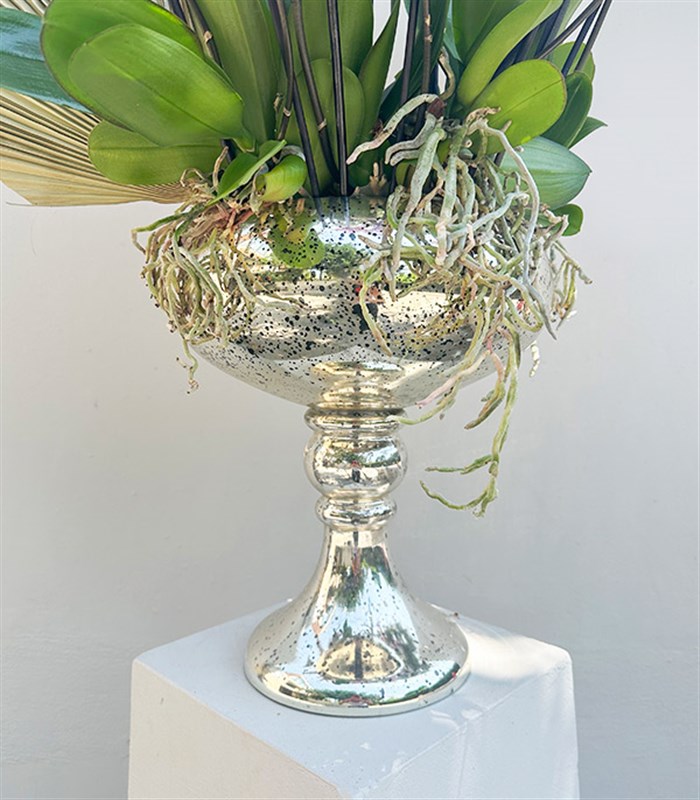 Royal Deluxe Eskitme Saksı 20 Dallı Orkide Pembe Beyaz