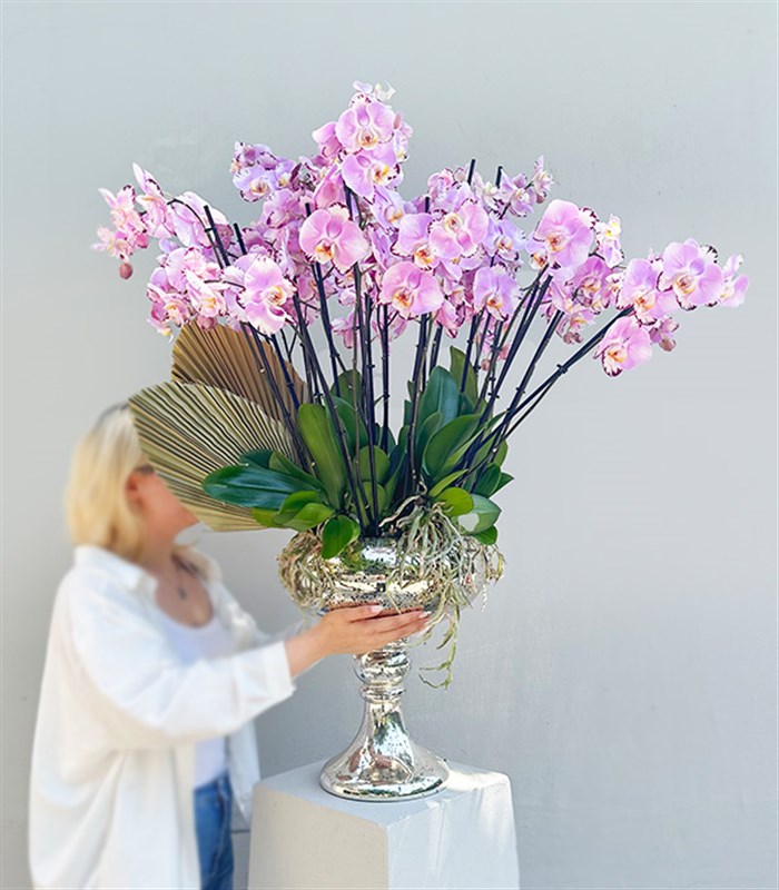 Royal Deluxe Eskitme Saksı 20 Dallı Orkide Pembe Beyaz