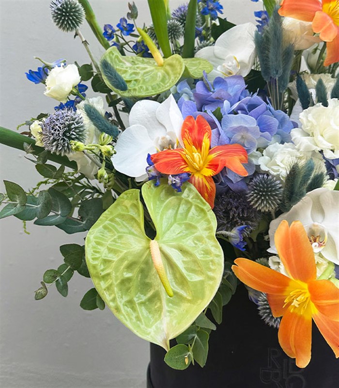 Giovanna Füme Grand Kutuda Turuncu Lale Mavi Ortanca Aranjmanı