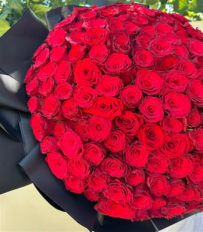 201 Red Rose Bouquet Royal Deluxe