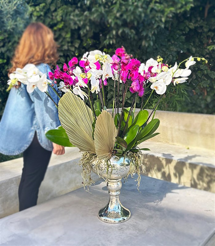 Royal Deluxe Eskitme Saksı 20 Dallı Orkide Fuşya Beyaz