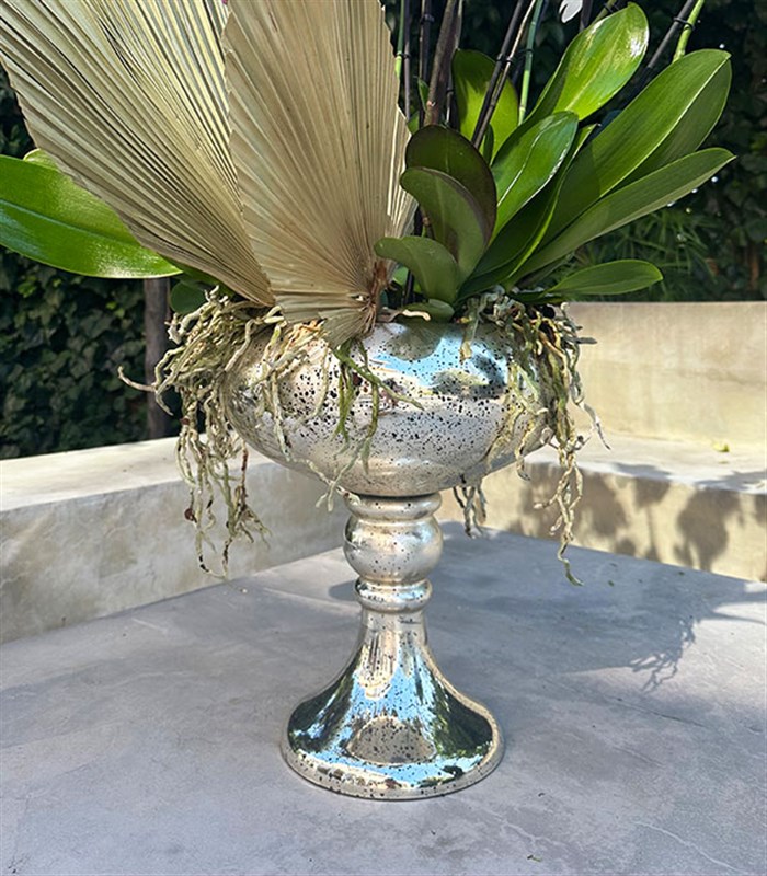 Royal Deluxe Eskitme Saksı 20 Dallı Orkide Fuşya Beyaz