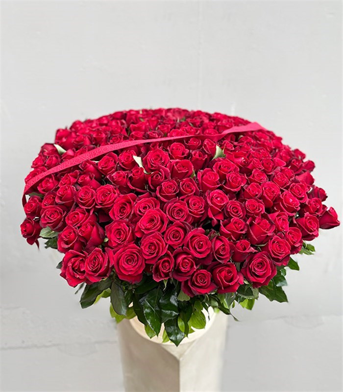 200 Kırmızı Gül Aranjmanı Royal Deluxe Kutuda