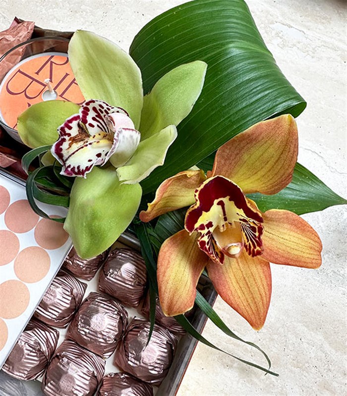 Özür Dilerim Cymbidium Orkide Mum Çikolata Hediye Kutusu
