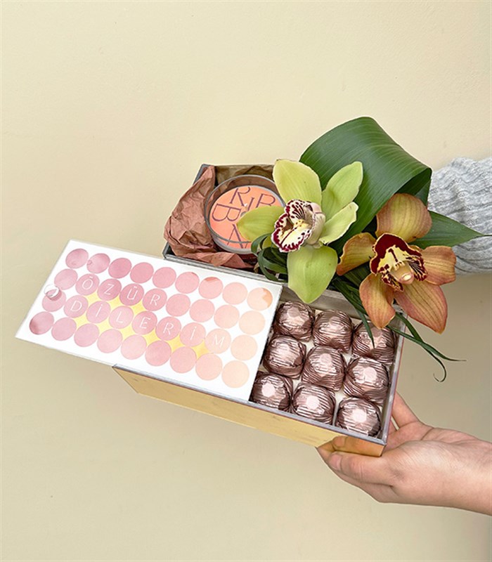 Özür Dilerim Cymbidium Orkide Mum Çikolata Hediye Kutusu