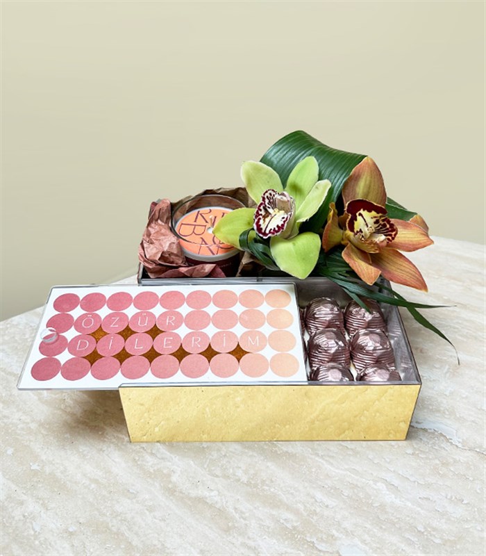 Özür Dilerim Cymbidium Orkide Mum Çikolata Hediye Kutusu