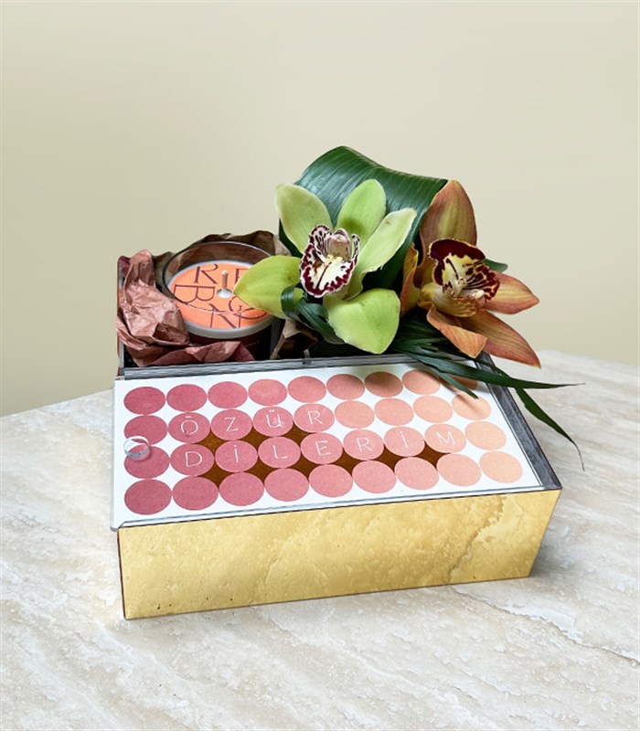 Özür Dilerim Cymbidium Orkide Mum Çikolata Hediye Kutusu
