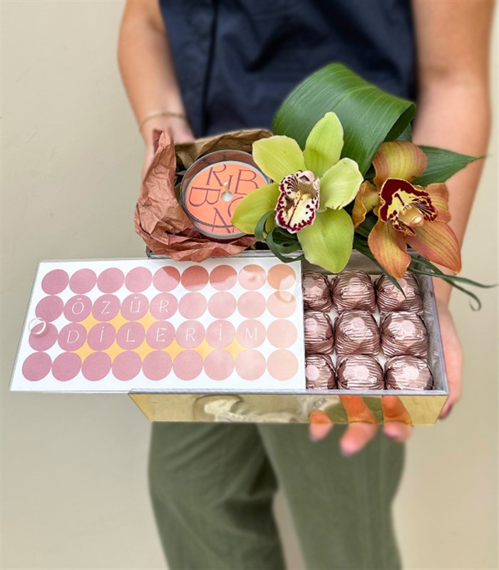 Özür Dilerim Cymbidium Orkide Mum Çikolata Hediye Kutusu
