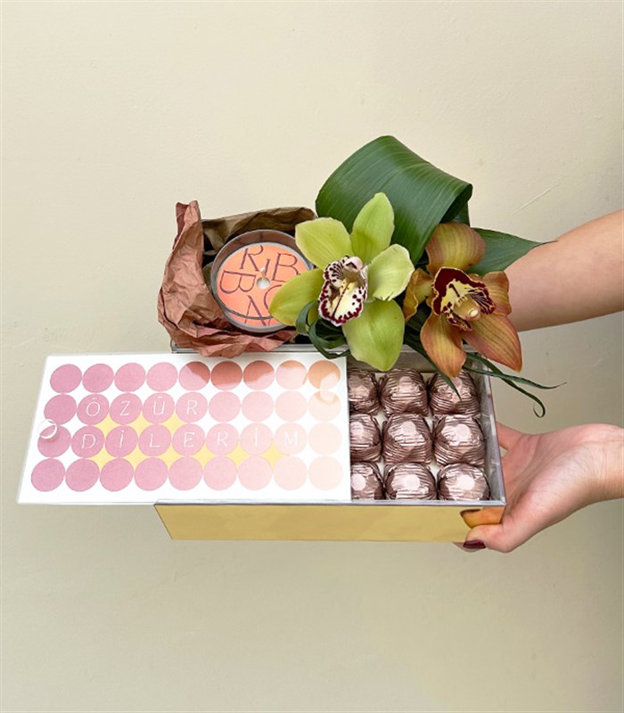Özür Dilerim Cymbidium Orkide Mum Çikolata Hediye Kutusu