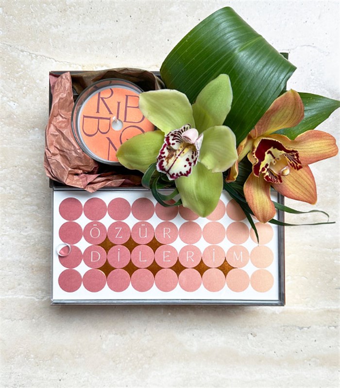 Özür Dilerim Cymbidium Orkide Mum Çikolata Hediye Kutusu