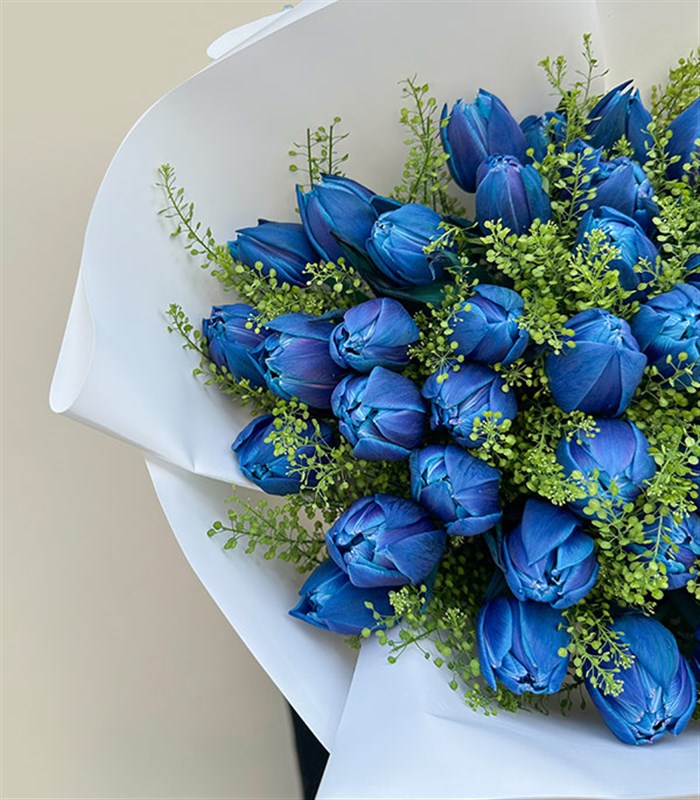 Sky Secret Grand Deluxe 41 Galaksi Lale Buketi