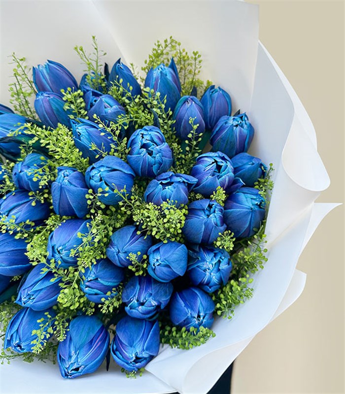 Sky Secret Grand Deluxe 41 Galaksi Lale Buketi