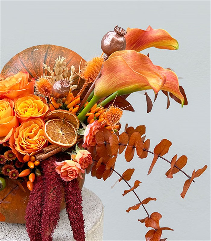 Orange Spice Sonbahar Çiçekleri Balkabağı Aranjmanı