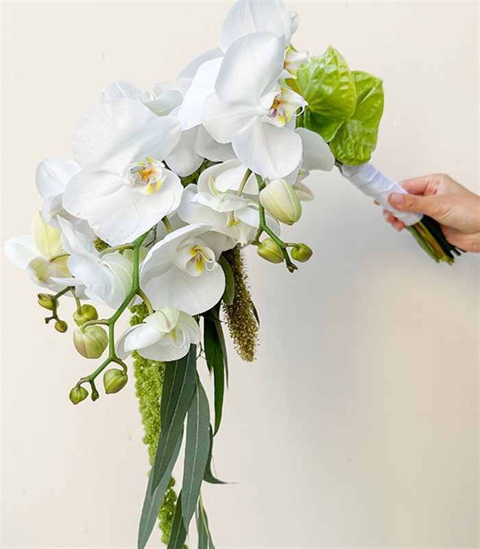 Loves Enchantment Beyaz Orkide Yeşil Antoryum Gelin Buketi