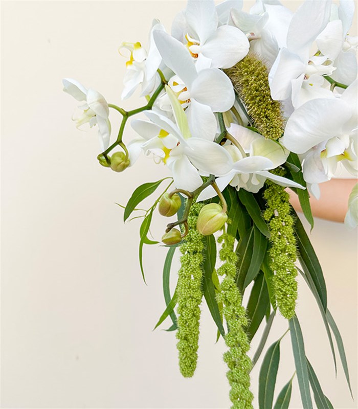 Loves Enchantment Beyaz Orkide Yeşil Antoryum Gelin Buketi