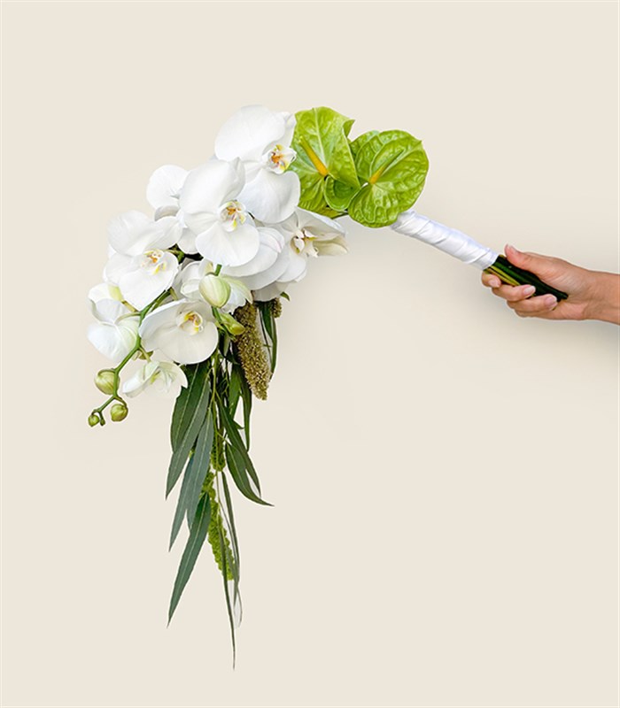 Loves Enchantment Beyaz Orkide Yeşil Antoryum Gelin Buketi