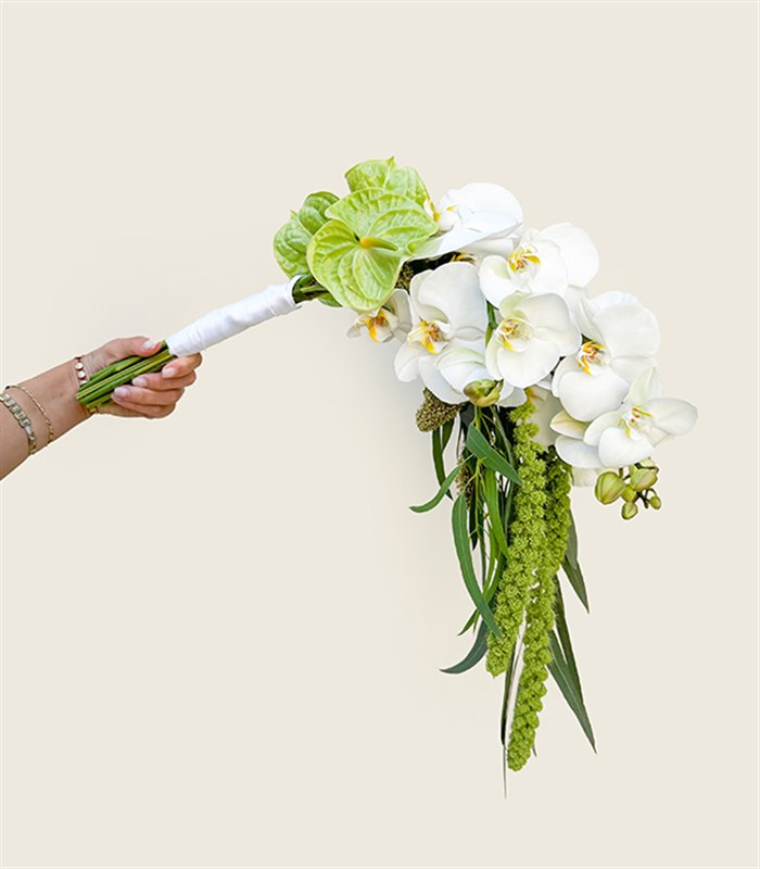 Loves Enchantment Beyaz Orkide Yeşil Antoryum Gelin Buketi