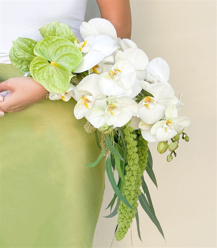 Loves Enchantment Beyaz Orkide Yeşil Antoryum Gelin Buketi