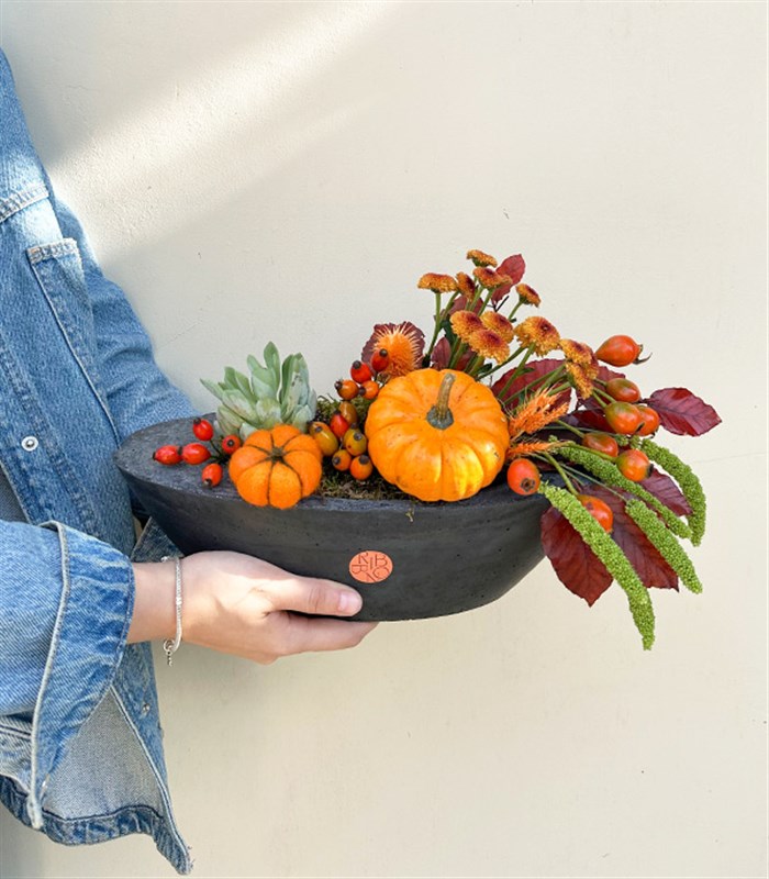 Pumpkin Harvest Sukulent Garden Oval Deluxe