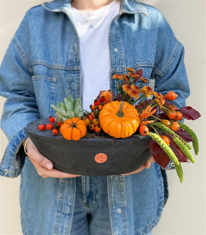Pumpkin Harvest Sukulent Garden Oval Deluxe
