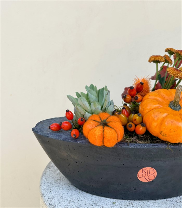 Pumpkin Harvest Sukulent Garden Oval Deluxe