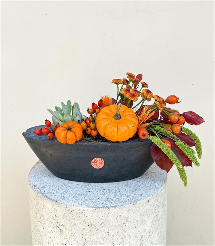 Pumpkin Harvest Sukulent Garden Oval Deluxe