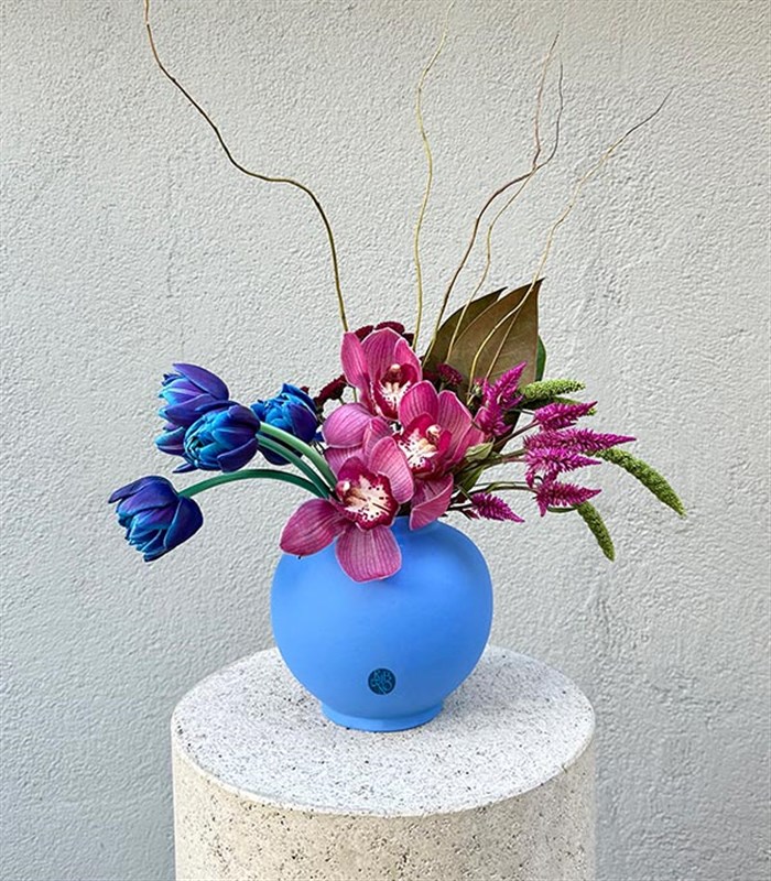 Joelle Mavi Seramik Vazoda Cymbidium Orkide Galaksi Lale Aranjmanı