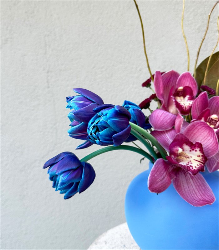 Joelle Mavi Seramik Vazoda Cymbidium Orkide Galaksi Lale Aranjmanı