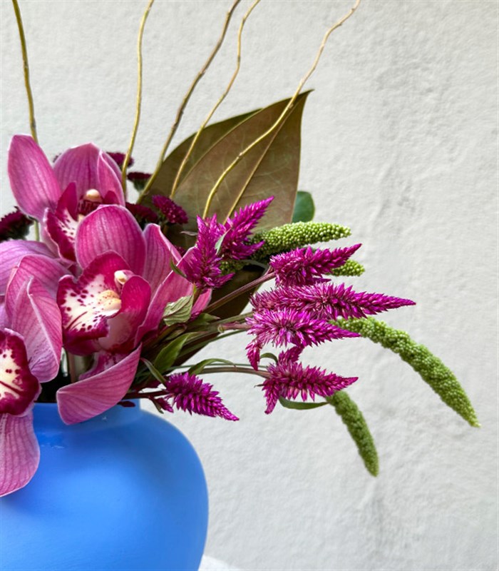 Joelle Mavi Seramik Vazoda Cymbidium Orkide Galaksi Lale Aranjmanı