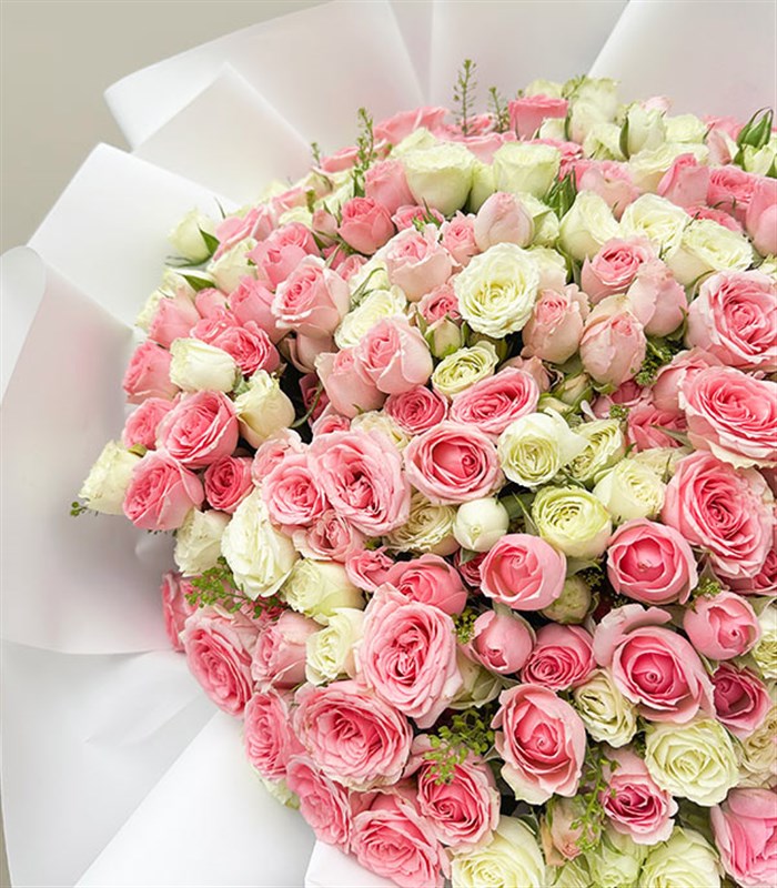 Royal Deluxe 101 Beyaz Pembe Çardak Gül Buketi