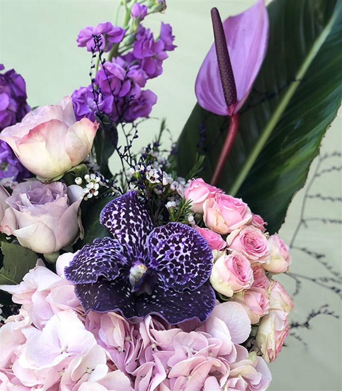 Cam Vazoda Pembe Ortanca Mor Antoryum Lila Gül Aranjman