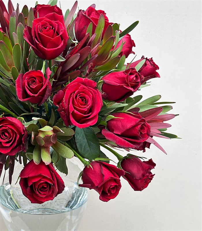 Love Language Deluxe Panoramik 25 Kırmızı Gül Conebushes Aranjmanı