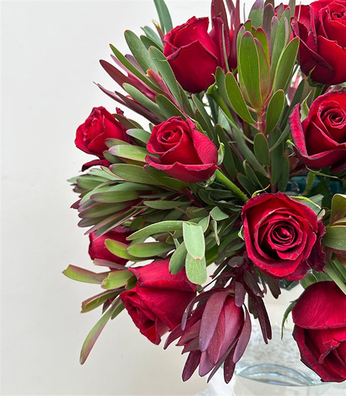 Love Language Deluxe Panoramik 25 Kırmızı Gül Conebushes Aranjmanı